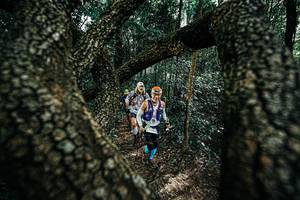 BIB: 
                            <button type="button" onclick="openModal(25392322)" class="btn btn-primary btn-sm float-right btn-popup" data-toggle="modal" data-target=".modal-high-quality">
                        <i class="fas fa-shopping-cart"></i> Add to Cart
                    </button>
                                            <button type="button" onclick="isThisMe(25392322, true)" class="btn btn-success btn-sm float-right btn-popup btn-isme hidden" data-toggle="tooltip" data-placement="bottom" title="นี่คือรูปของคุณใช่ไหม คลิกที่นี่เพื่อเอาเข้าอัลบั้ม">
                        <i class="fas fa-plus"></i> Add to album
                    </button>
                    <button type="button" onclick="isThisMe(25392322, false)" class="btn btn-warning btn-sm float-right btn-popup btn-isnotme hidden">
                        <i class="fas fa-ban"></i> Remove from album
                    </button>